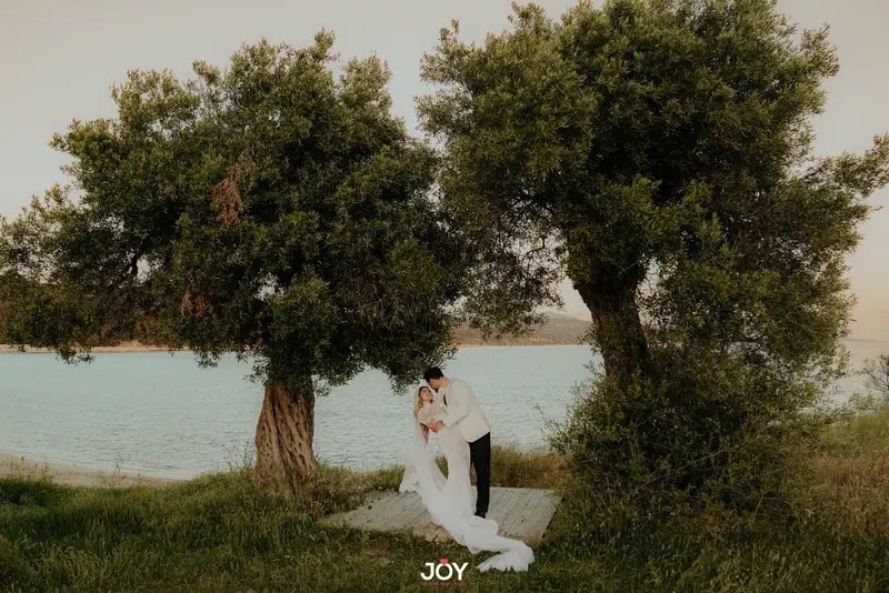 A couple under olive trees by the sea